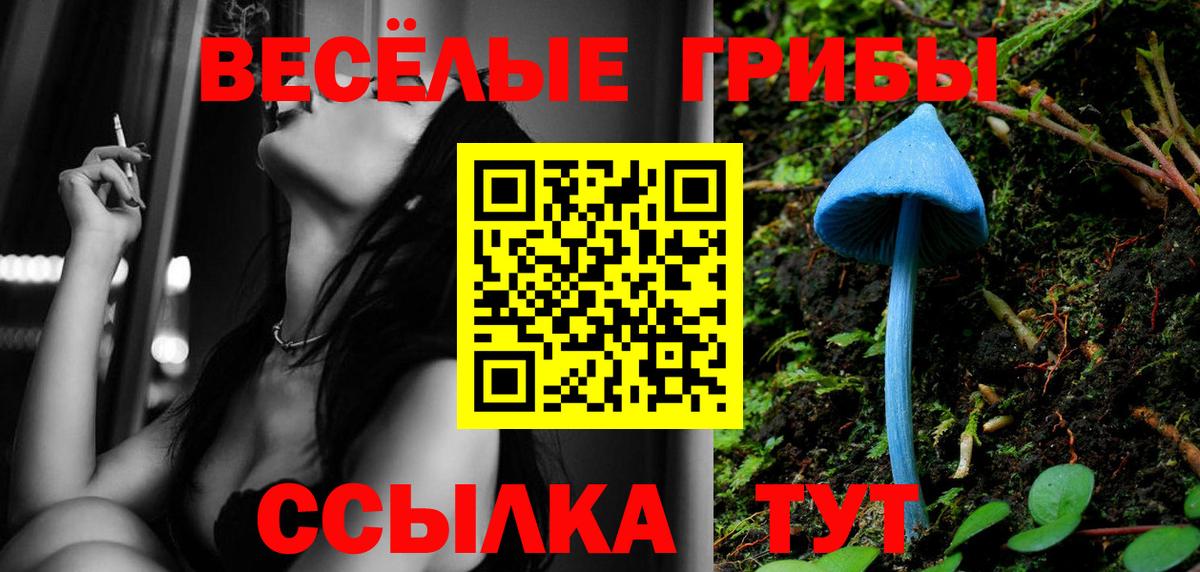 Псилоцибиновые грибы мухоморы  Вход с VPN  где найти наркотики  Ялуторовск  Галлюциногенные грибы MAGIC MUSHROOMS 